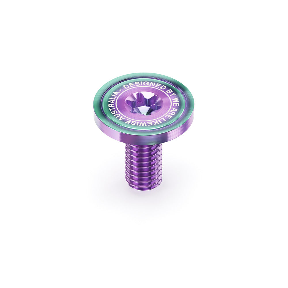 Torx Hardware - We Are Likewise