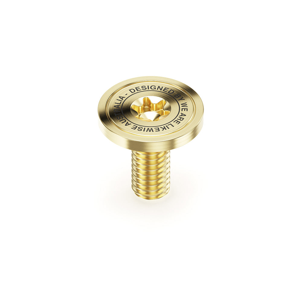 Torx Hardware - We Are Likewise